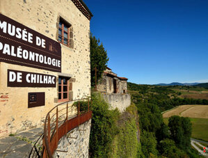 Le musée de paléontologie